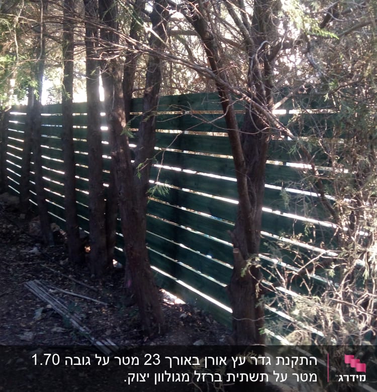 גדר עץ ירוקה עם עצים מסביב